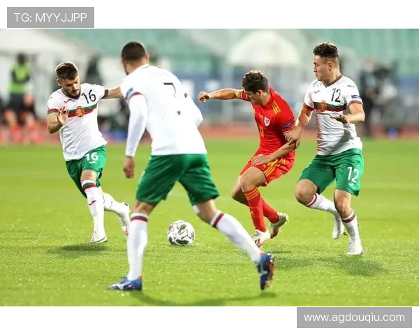 斗球直播app电脑版下载地址免费资源，快速获取高清足球直播内容