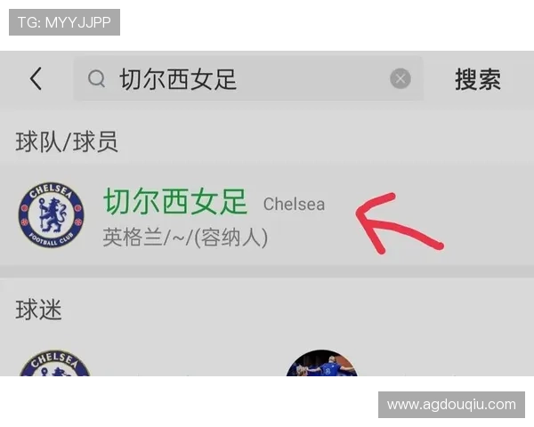 斗球app官方正版免费下载渠道，确保游戏正版授权避免账号安全风险